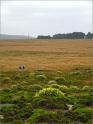 sm Pt. Reyes.RCA (05)